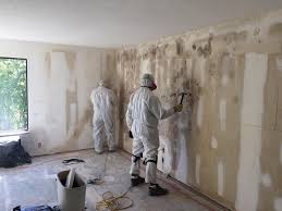 Best Environmental Consulting for Mold Prevention in USA